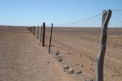 Plasa rabitz 0.8 mm / 1x25 m pentru gard