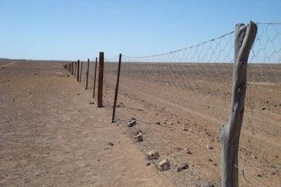 Plasa rabitz 0.8 mm / 1x25 m pentru gard