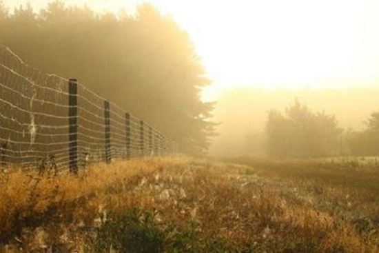 Plasa gard sudata zincata 1 x 20 m, fir 1.6 mm pentru gard