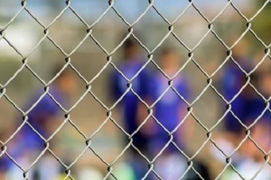 Plasa sarma impletita 2.5 mm, 1 x 10 m pentru gard