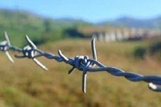 Sarma ghimpata zincata 1.8 mm in bobina pentru securizarea imprejmuirilor.