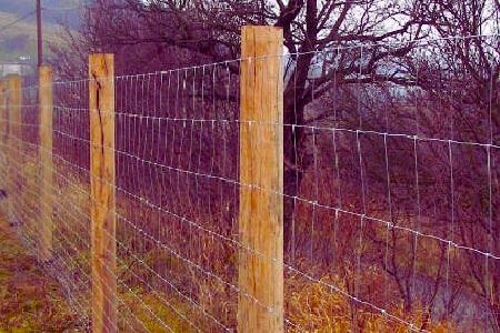 Imagine pentru categoria Plasa sudata zincata